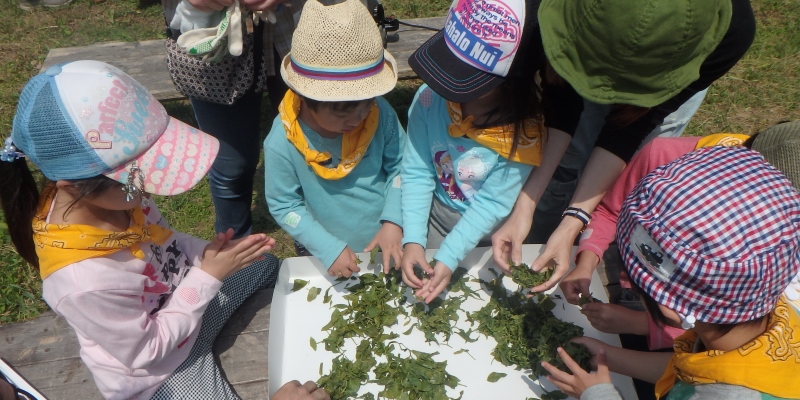 里山しごと表紙