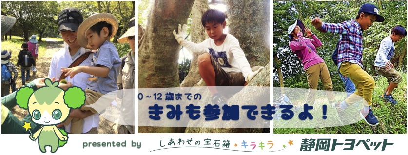 トヨペットトップ画像−2
