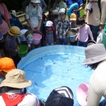 ふれあいミニ水族館