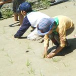 田植え♪ 田植え♪