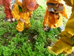 里山いっぽ5/20小雨に現れる生きもの達