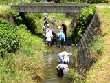 里山の小川