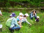 【募集中】9月28日乳幼児自然あそび体験会