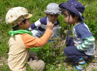 野外保育里山いっぽ2014年度募集中