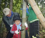 【報告】12/8 里山de遊び隊「自分で作ろう門松を！」