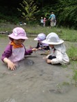 里山いっぽ6/9泥水池