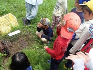 りんご園のおじさんからアライグマの話を聞く