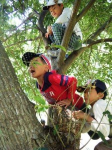 木登り助け合い