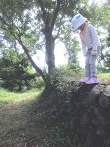 跳びたい恐いの格闘