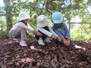 根っこの綱引き