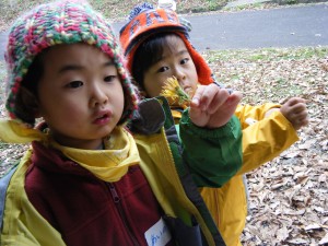 タンポポが咲いているおかしいな