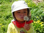 【里山のかやねずみ】4/19野草天ぷら