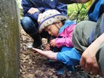 【里山のかやねずみ】4/21