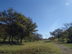 【里山しごと第3弾募集中】★締切りまであとわずか お早めに★