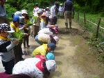 田植え