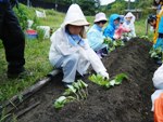 【報告】わんぱく題楽　6/5「さあ！泥りんピックで田植え準備」