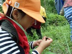 【報告】里山やっほ　　発見と共有