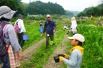 【報告】わんぱく題楽　6/19「田植えに挑戦！」