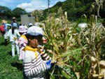 【報告】わんぱく題楽　8/21「夏だ！流しそうめんと川遊び」