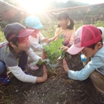 【小学1～2年生】里山QUEST火曜コース