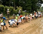 田植え