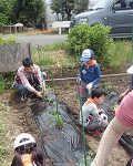 【報告】わんぱく里山　5/14「一粒の籾から苗作り。里山のくらし巡り」