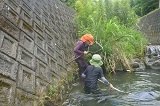 生き物探し