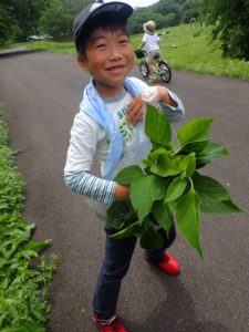 【報告】7/2里山しごと～草や木で布を染めてみよう！～