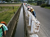 水の調査