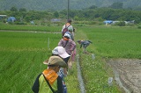 田んぼの水はどこへ