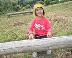 たいこ