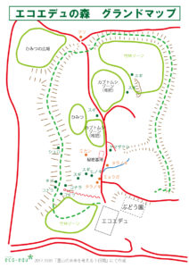 【報告】10/27「森を知り、森とかかわる基礎講座」第5回