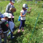 【報告】わんぱく里山　8/19	「瀬戸川で生き物を探せ カレー作り」