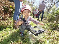 【報告】10/7里山のかやねずみ・にちようび　秋のいきものを見つけよう！