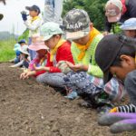 【報告】わんぱく題楽　9/16「田んぼの守護神かかしをつくろう！」