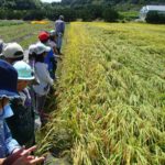 【報告】わんぱく里山　9/9「秋の恵みと生き物探し」