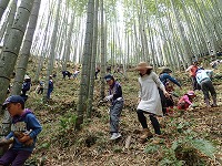 【報告】わんぱく里山4/21　タケノコ掘りと春探し