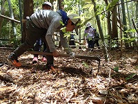 【報告】里山de遊び隊　4月・5月