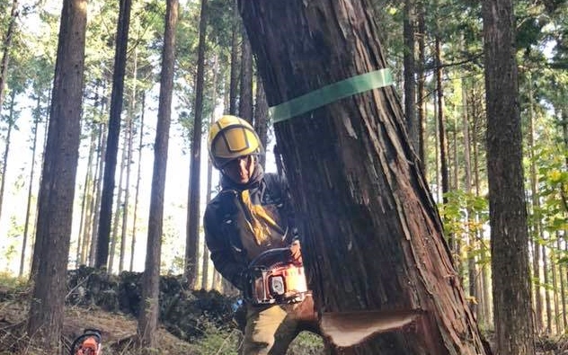 【しずおか未来の森サポーター協定】トヨペットの森