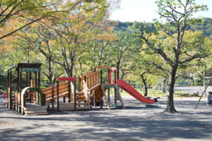 お散歩コースの城北公園