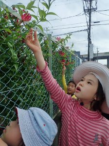 【報告】里山QUEST水曜コース「山でも街でもどこでも発見」