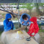 【報告】わんぱく里山　5・6・7・8月　長雨と酷暑の夏