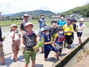 【報告／わんぱく里山6月】田植えと サツマイモのつるさしとじゃが芋収穫