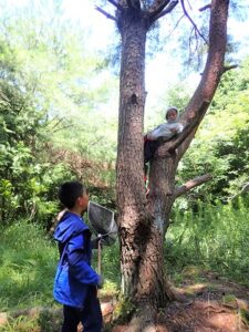 【報告】里山BASE in summer　あるもので遊ぶチカラ～みんなの新しい遊びが誕生！～