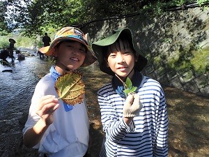 【報告】里山BASE in summer　どの葉っぱが速い？　～遊びから気づきへ～