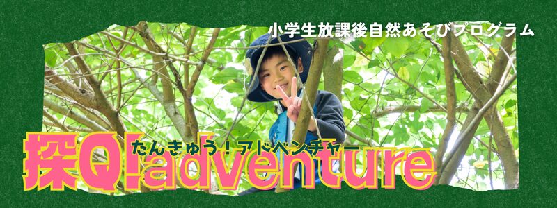探Q!adventure2026