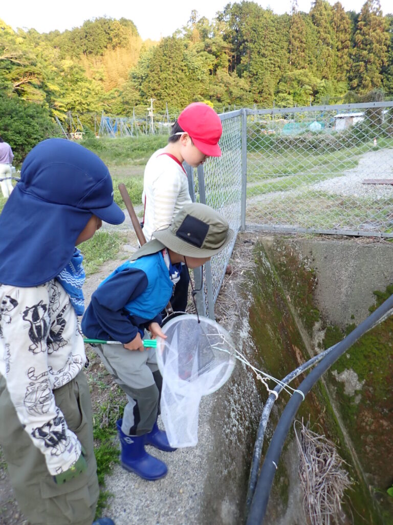 6月：生き物さがし探Q!　里山に“こたえ”を見つけにいこう！　
