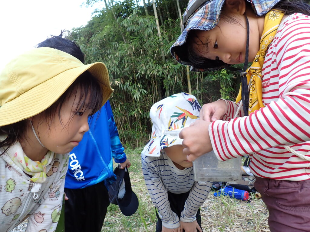 【里山BASE】夏がきた！！