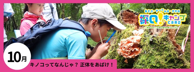 探Q!キャンプ【10月:キノコってなんじゃ？正体をあばけ！ 】