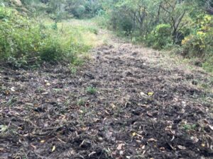 【里プロ】無心で頑張る水路づくり【報告】